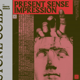 52 Hertz Whale - Present Sense Impression LP