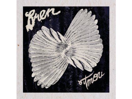 Bren - Tmou LP