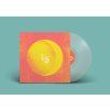 FM15 vinyl mockup CLR front
